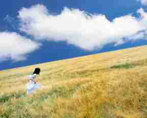 怎​么​进﻿行﻿seo自​动‌优‌化‌